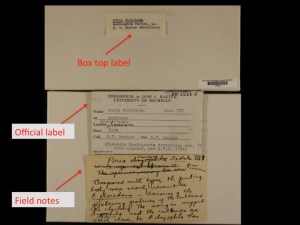 A macrofungi image in Notes from Nature with three labels