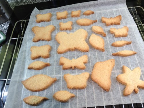 cookies_from_nature_sm_4