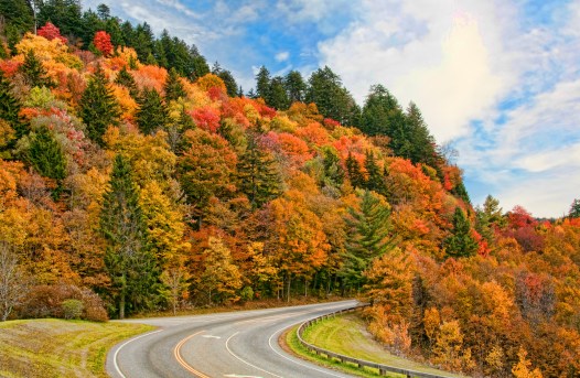 Newfound Gap Rd near Clingman's Dome Rd - Great Smoky Mountains National Park. Photo by Timothy Wildey