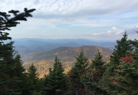 unlocking-northeastern-forests-nybg
