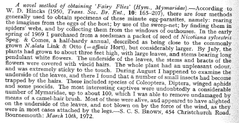 Novel method of obtaining Fairy Flies