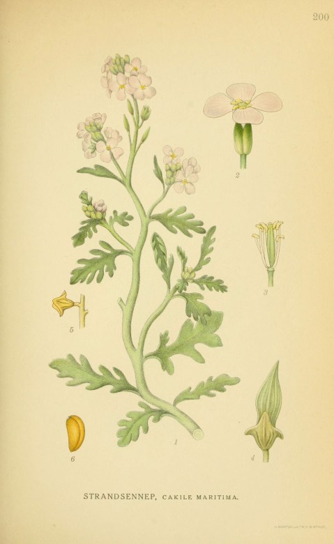 6029390380_8e0a28294c_o