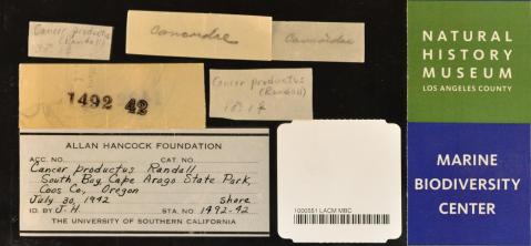 wedigbioPRspecimen_labels