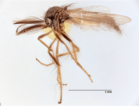 Screen Shot 2020-04-17 at 2.13.21 PM